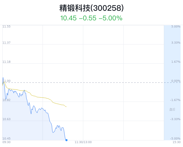 精锻科技股票，科技领域的璀璨新星崛起之路