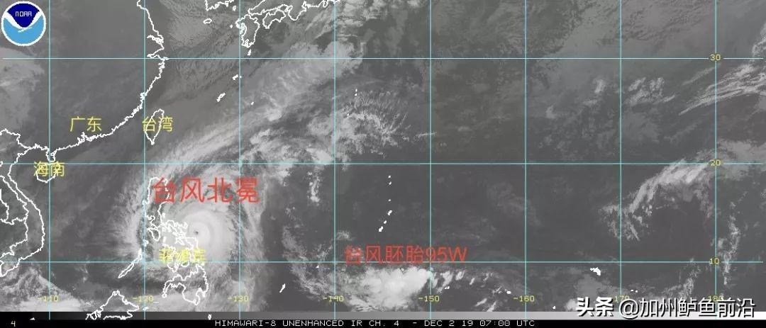白酒 第172页