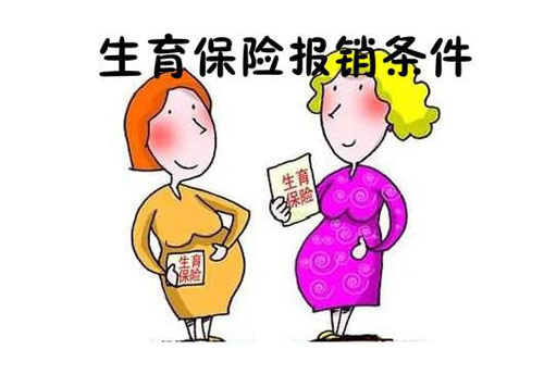最新生育保险政策解读，守护家庭的重要保障