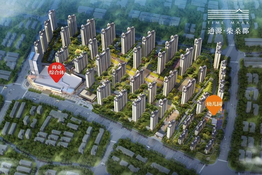 中奥最新发展动态，观点分析与影响探讨