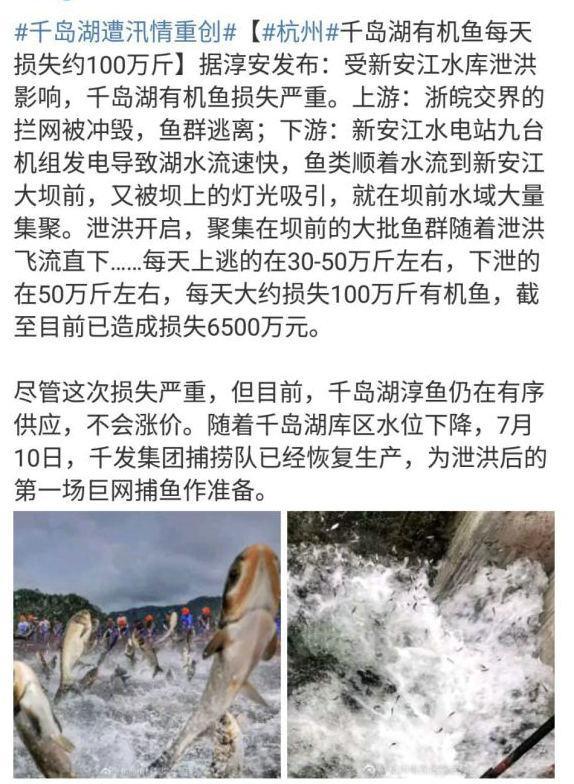 千岛湖最新汛情解析及关注焦点全面梳理