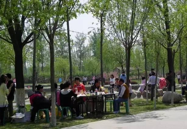 仙林最新地图获取与使用指南揭秘
