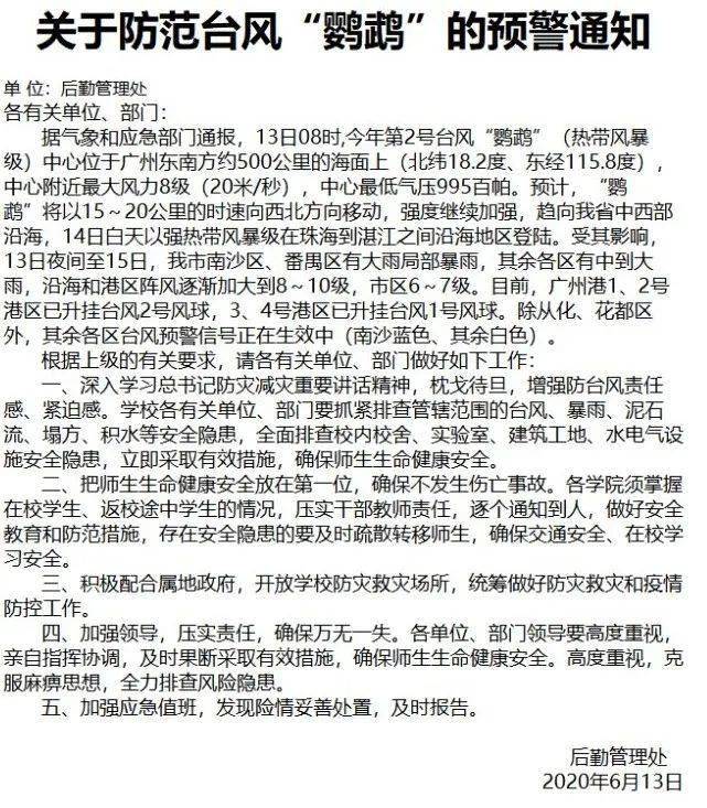 小鹦鹉台风最新动态，温馨有趣的风暴体验之旅